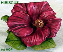 Hibiscus Prototype