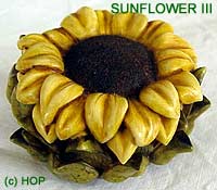 Sunflower III Prototype