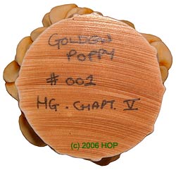 'Golden Poppy' Prototype Base