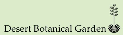 Desert Botanical Garden