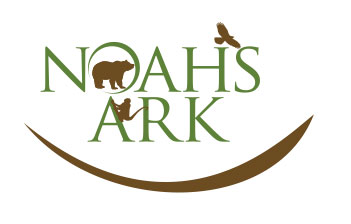 Noah's Ark