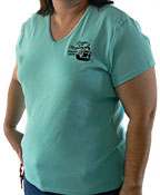 Ladies Classic Fit V-Neck Rib T-Shirt